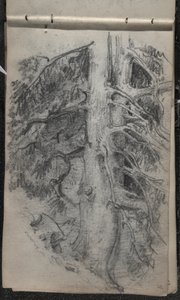 木の研究、1871-72年（暗くオフホワイトの織り紙のグラファイト） 作： John Singer Sargent