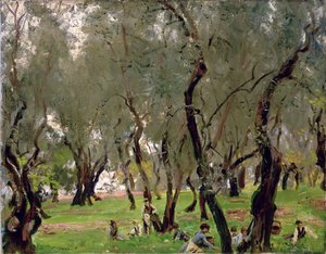 The Olive Grove, c.1910 (óleo sobre tela) 作： John Singer Sargent