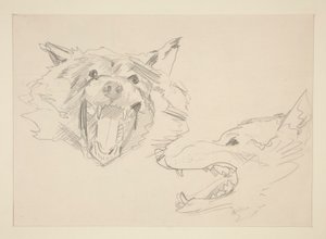 オオカミの 2 つのビュー 作： John Singer Sargent