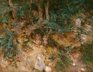 マヨルカ島バルデモサ: 丘の中腹にあるアザミと草本、1908 年。 作： John Singer Sargent