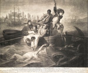 サメから救出された若者 作： John Singleton (after) Copley