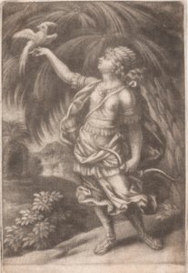 Falconer 作： John Smith