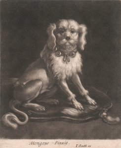 ベル付きの首輪をつけた小型犬。 作： John Smith