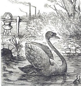 ロンドンのテムズ川の汚染を指摘した漫画 作： John Tenniel