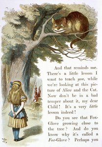 チェシャ猫 作： John Tenniel
