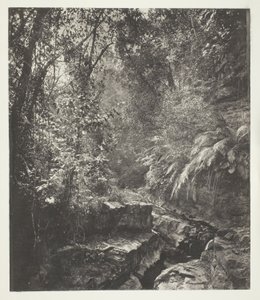 フォルモサの峠 作： John Thomson