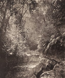 フォルモサ島の峠 作： John Thomson