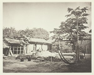 ペポホアの住居 作： John Thomson