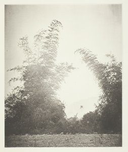 たくさんの箱、農場の竹 作： John Thomson