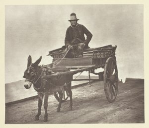 ブラック・ジャック 作： John Thomson