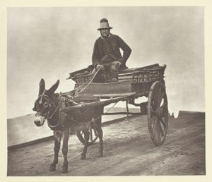 ブラック・ジャック、1881年 作： John Thomson