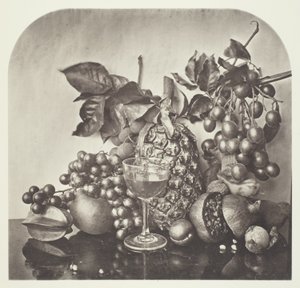フルーツ 作： John Thomson