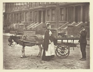 イチゴです。All Ripe!オール・ライプ！, 1881. 作： John Thomson