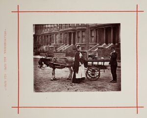 苺。 完熟！ 完熟!、1877年。 作： John Thomson