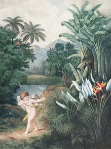 『フローラの神殿からの愛――キューピッドが植物に愛を吹き込む』（1807年） ロバート・ジョン・ソーントン作 作： John Thornton