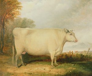 賞牛の肖像画 作： John Vine