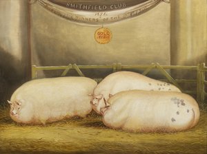 1858スミスフィールドクラブクリスマスショー、1858年のペンで改良された3つのレスター 作： John Vine