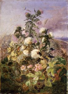 アザミとブラックベリーの花の中の金魚と蝶 作： John Wainwright