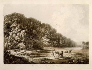 プーロ・コンドル島の眺め（『南洋の眺望』より）、パブ。1792年（銅版画） 作： John Webber