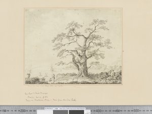 F.44 海岸線の眺め、中央の大きな木、1783-84年頃 作： John Webber