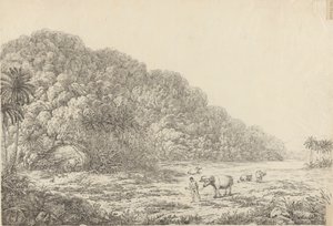 プロ コンドル島の景色 作： John Webber