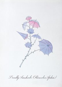致命的なサンシェード (Parasolia Spikeii.)、John Weir 作の「The Bogus Book of Botany」の挿絵 作： John Weir