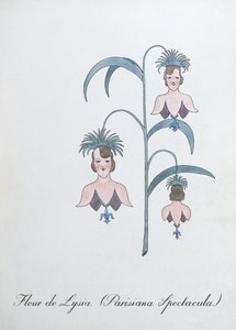 Fleur de Lysia (Parisiana Spectacula.)、John Weir 作「The Bogus Book of Botany」の挿絵 作： John Weir
