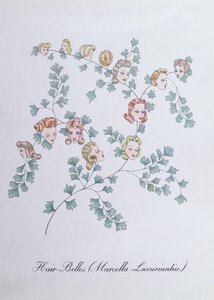 ジョン・ウィアー作「The Bogus Book of Botany」の挿絵、Hair-Belles (Marcella Luxuriantia) 作： John Weir