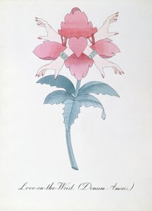 ジョン・ウィアーによる「The Bogus Book of Botany」のラブ・オン・ザ・リスト（ドナム・アモリス）のイラスト