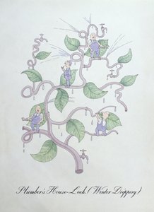 配管工の家ネギ (ウォーター ドリッパー)、ジョン ウィアーによる「The Bogus Book of Botany」のイラスト 作： John Weir