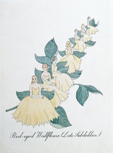 レッドアイド ウォールフラワー (Late Subdebbia)、ジョン ウィアー作「The Bogus Book of Botany」の挿絵 作： John Weir