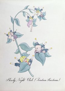 シェイディ ナイト クラブ (Jointum Sinistrum.) ジョン ウィアーによる「The Bogus Book of Botany」のイラスト 作： John Weir