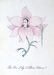 ハチユリ (Lilium Satirical.)、John Weir 作「The Bogus Book of Botany」の挿絵