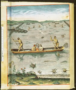 セオドア・ド・ブリー（1528-98）1590によって刻まれた「アドミランダナラティオ...」からのインディアンの魚の捕獲方法（110123および111664も参照） 作： John White