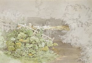 影の付いた小川で植物をドッキング（紙にペンとインクとトイレ） 作： John White Abbott