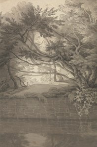 湖に張り出した木々 作： John White Abbott