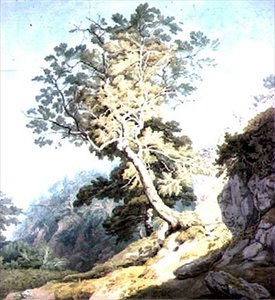 Canonteign、デボンの近くを表示します。 作： John White Abbott