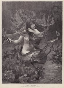 The Mermaid（リトグラフ 作： John William (after) Waterhouse