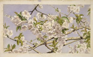 Apple Blossoms、c.1874（紙にトイレ）