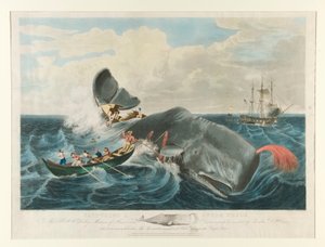 マッコウクジラの捕獲 作： John William Hill