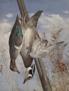 ハンギング ゲーム バード 作： John William Hill