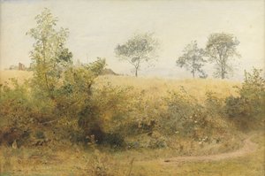 バットはギディウィングで始まる-ヘッジの大麦畑、1885（紙に傷のあるトイレと鉛筆） 作： John William North