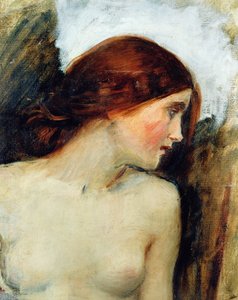エコーの首のための研究、1903年頃（55607を参照） 作： John William Waterhouse