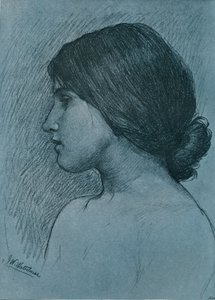 頭の研究、c1899 作： John William Waterhouse