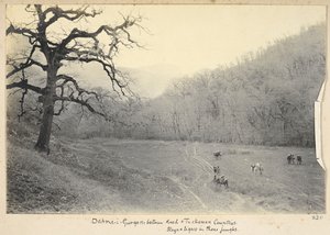 ラザヴィー・ホラーサーン州、イラン、1908年頃（白黒写真） 作： John Williams Watson
