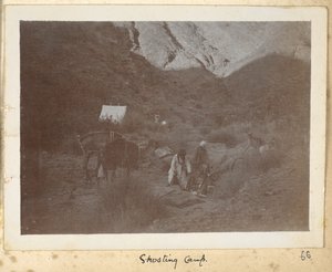 ラザヴィー・ホラーサーン州、イラン、1908年頃（白黒写真）
