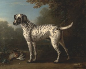 灰色の斑点のある猟犬 作： John Wootton