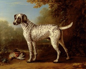 灰色の斑点のある猟犬 作： John Wootton