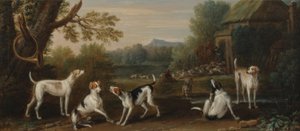 猟犬の解放、1765年頃 作： John Wootton