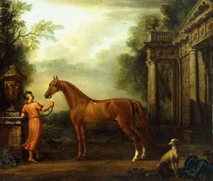 ハンプトンコートの栗アラビア人、1726年 作： John Wootton